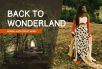 Back to wonderland