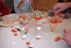fortbildung_versuch_macht_klug_mit_h._krekeler_6.11.2008_buesing6.jpg