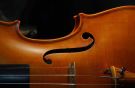 violine136_v-contentxl.jpg